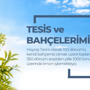 Hoyraz tesis ve bahçelerimiz